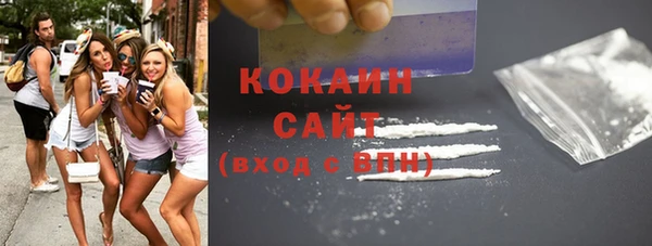 шишки Алексин