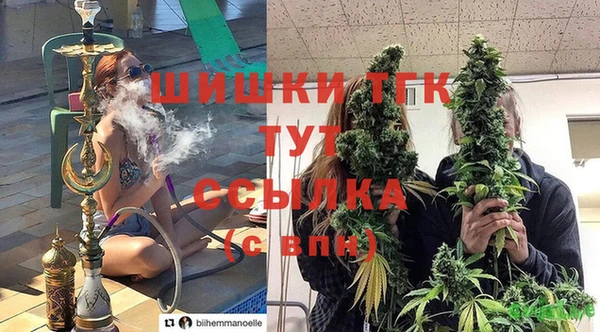 шишки Алексин