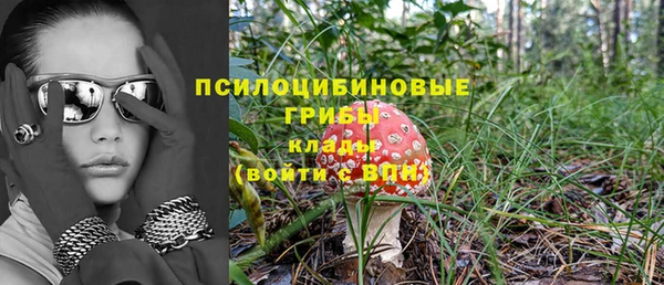 шишки Алексин