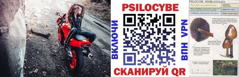 Псилоцибиновые грибы мухоморы Миллерово