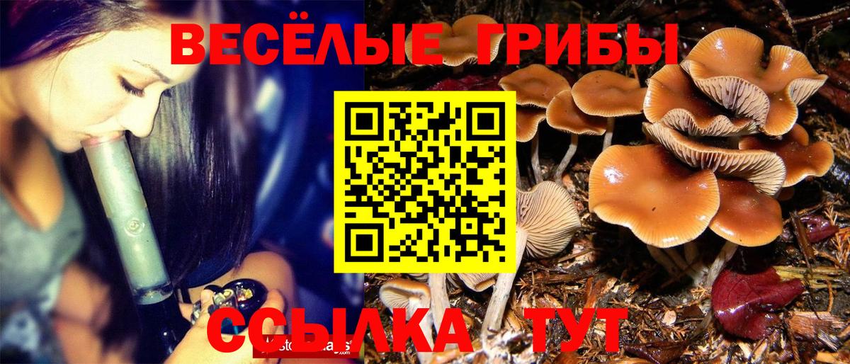 Галлюциногенные грибы Psilocybine cubensis  Вход с VPN  Миллерово 