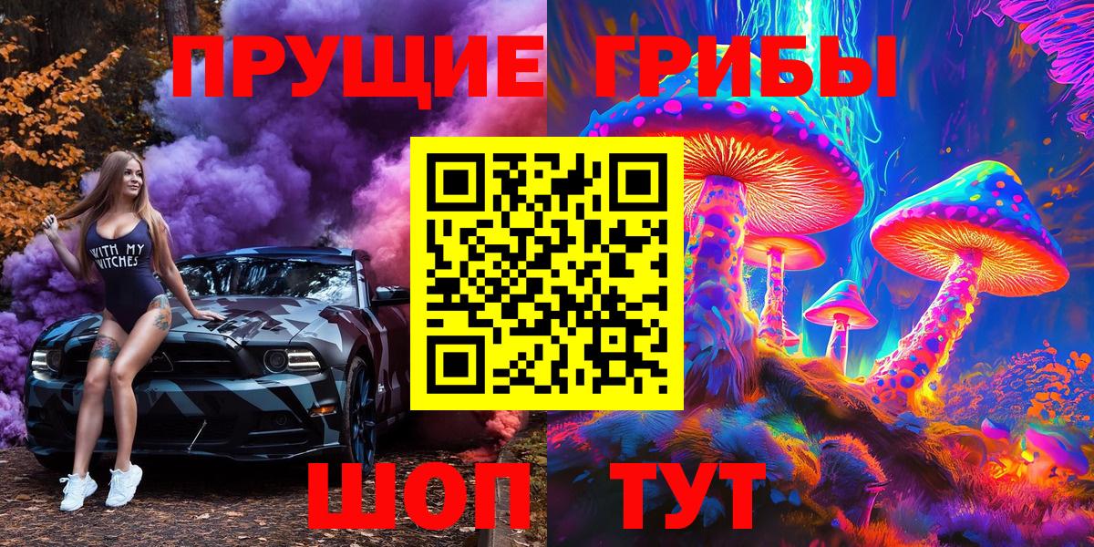 Псилоцибиновые грибы Psilocybine cubensis Миллерово